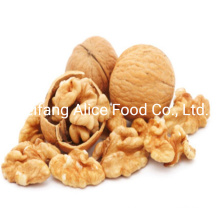 Export Chinese Good Quality Wholesale Walnut Kernels